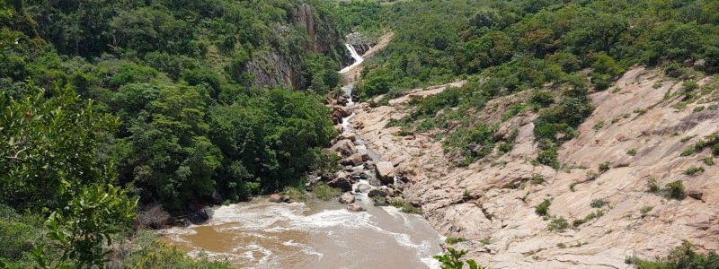 Lowveld Botanical Gardens